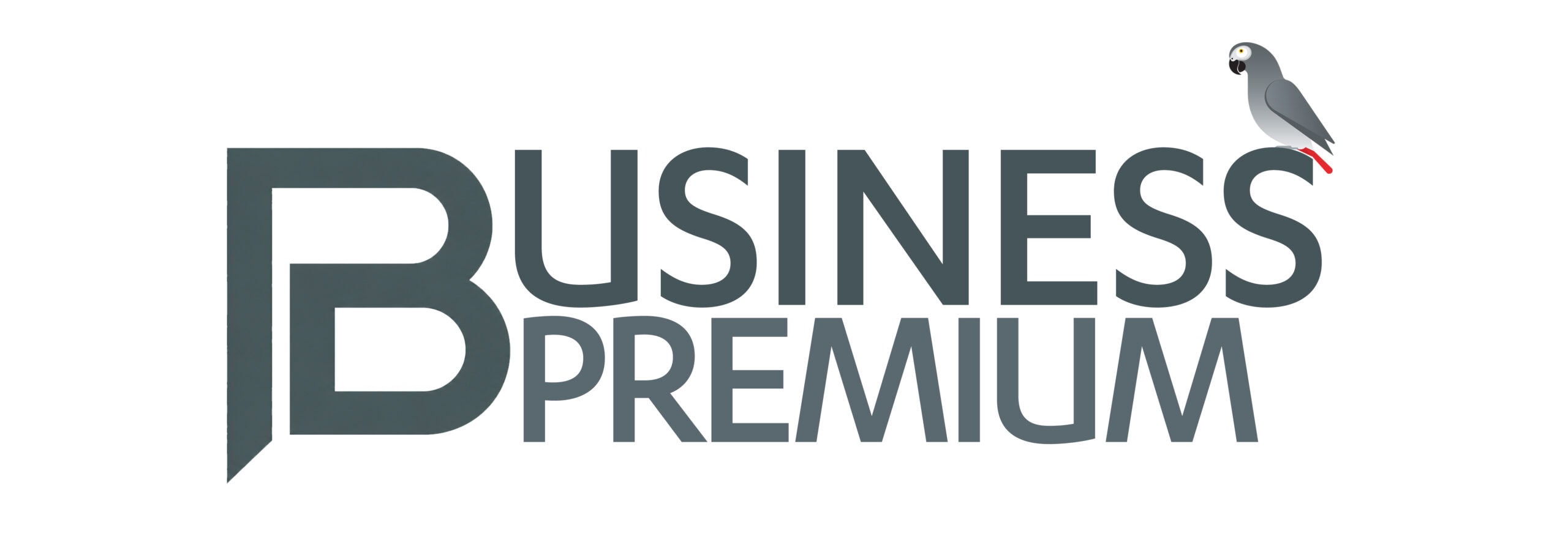 FASTJET ZIMBABWE ANNOUNCES INTRODUCTION OF BUSINESS PREMIUM ON AIRBUS A320 FLIGHTS