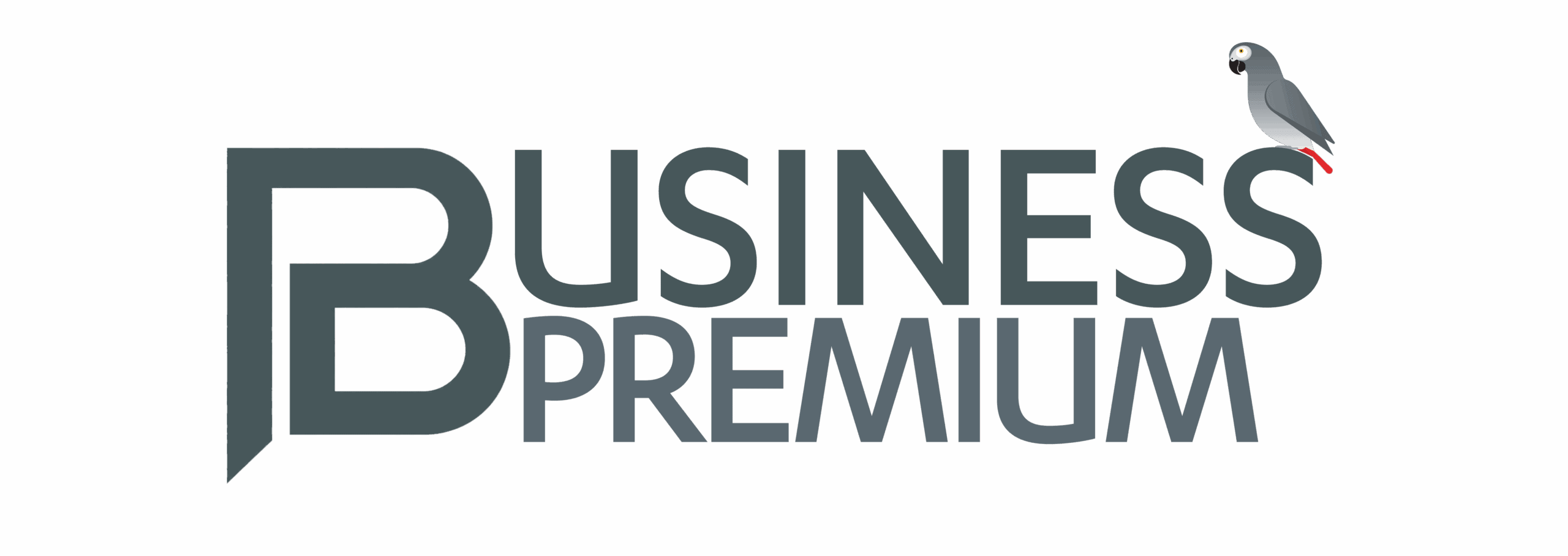 BusinessPremium260724